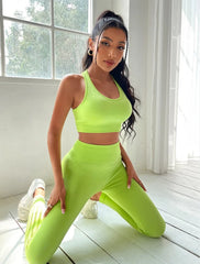 Sport Set Women Seamless Yoga Set Gym Sets Womens Outfits